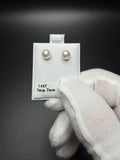 14k Yellow Gold 7mm Freshwater Pearl Studs 1.4g