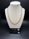 8mm Moissanite Cuban Chain, 11.35ctw D VVS1, Gold Over 925 Silver, 18" (52.1g)
