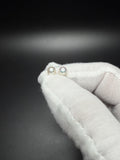 6mm 10k Yellow Gold Freshwater Pearl Studs 0.85g
