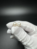 8.5mm 14k Yellow Gold Freshwater Pearl Studs 1.8g