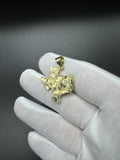1.25” 10k Yellow Gold Texas Pendant 5.4mm Bail 3.63g