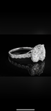 Size 7 14k White Gold 7.75ctw E-F VS1 Oval Lab Diamond 3 Stone Engagement Ring