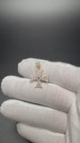 1" 10k Yellow Gold Maltese Cross 1/4ctw Natural Diamond w/ Sapphire Center Pendant 4mm Bail 1.74g
